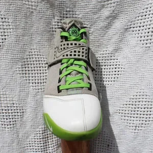 Nike Lebron V 5 Dunkman 2007 317253-002 Size 10 2007 Nike Zoom Lebron 5 V Dunkman Size 10 317253-002 Grey  main image 2